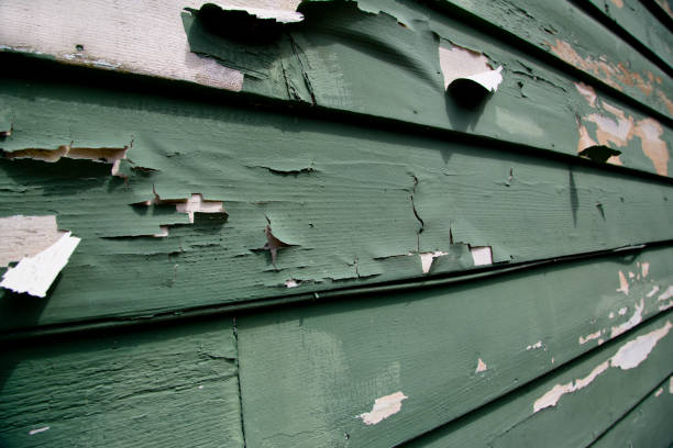 Best Fiber Cement Siding Installation  in Kimberly, AL