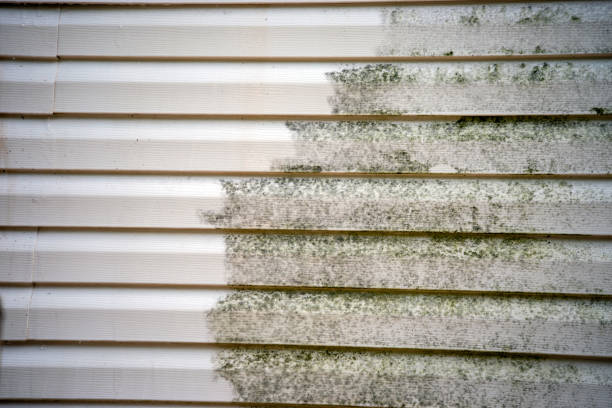 Best Siding for Multi-Family Homes  in Kimberly, AL