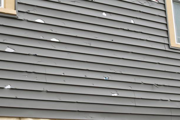 Best Insulated Siding Installation  in Kimberly, AL